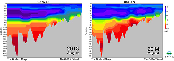 Oxygen levels from Gotland to the Gulf of Finland in August 2013-2014.